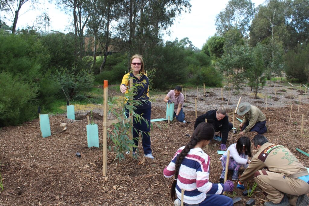 Lesley planting a gum tree on National Tree Day